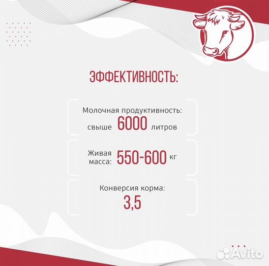 Комбикорм для телят, коров, коз