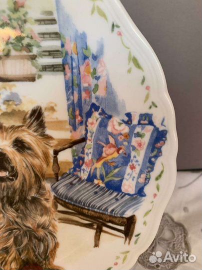 Тарелка Кен-терьер хочет поиграть Royal Albert Ltd