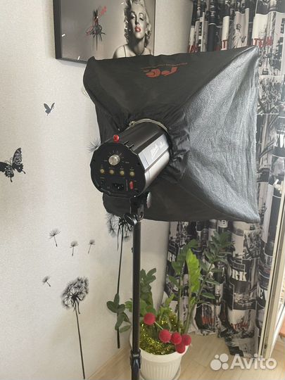 Студийный импульсный свет