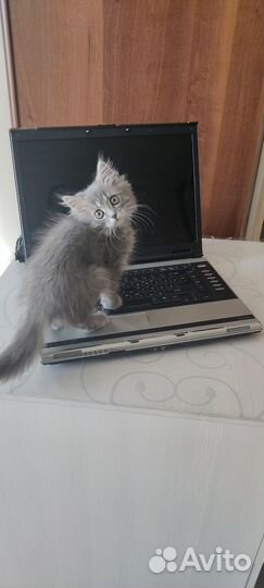 Нерабочий ноутбук Toshiba Satellite A110-293