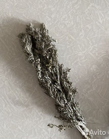 Полынь для бани