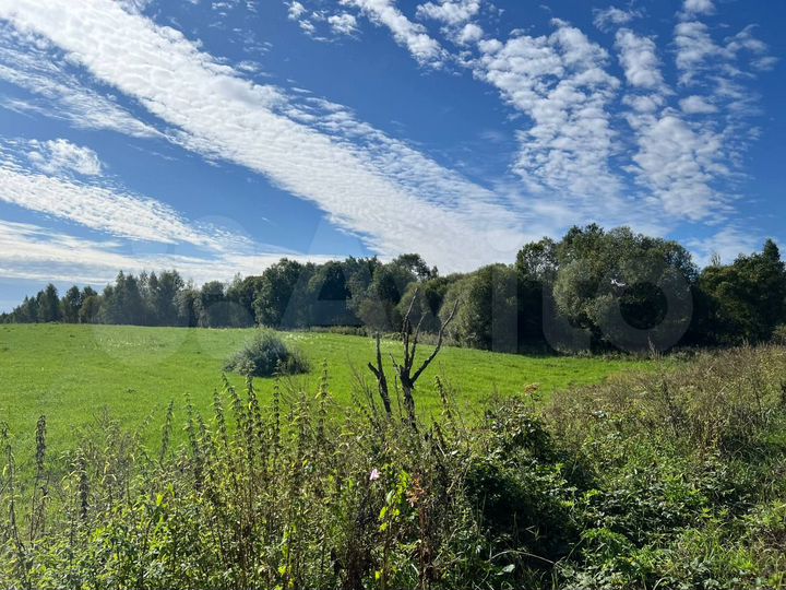 Участок 145 га (СНТ, ДНП)