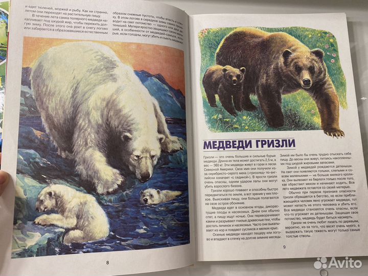 Энциклопедия животных