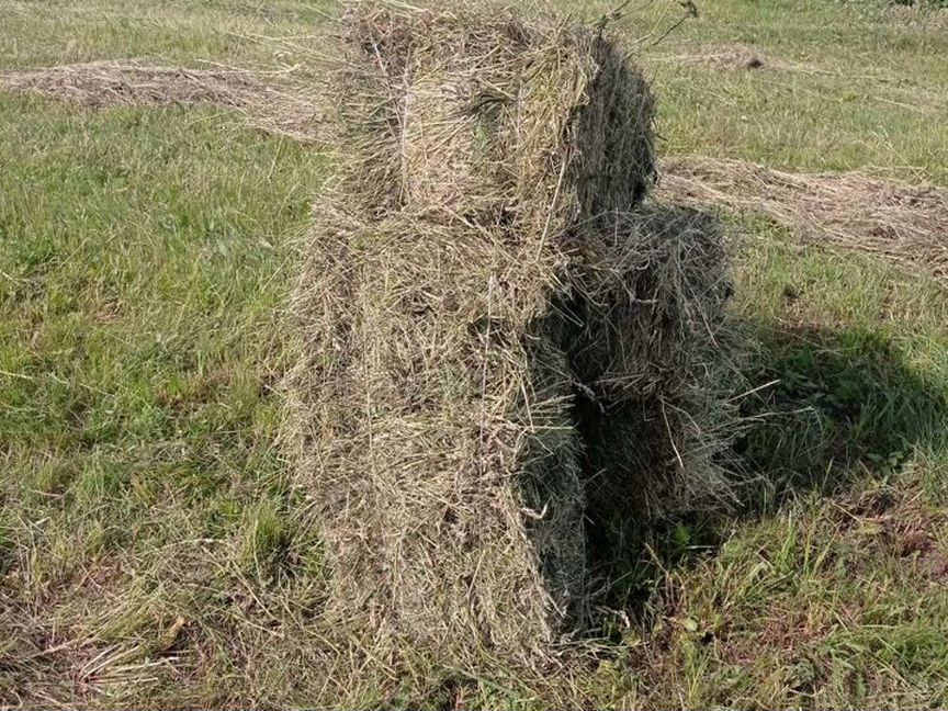 Сено солома в тюках доставка