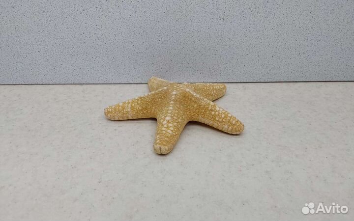 Звезда Филиппинская 11,1 морской сувенир подарок