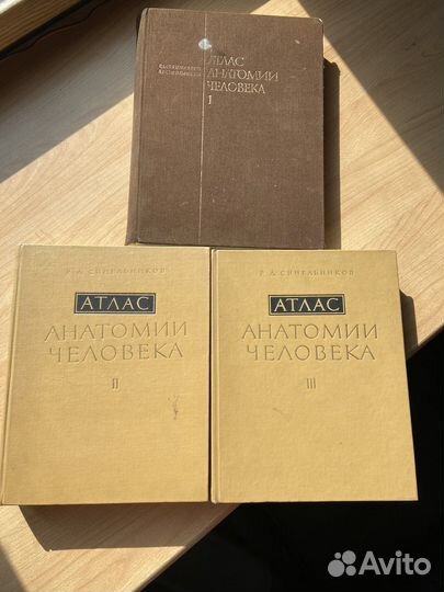 Атлас анатомии человека синельников