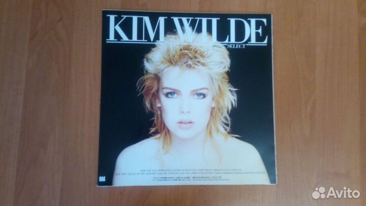 Виниловые пластинки -5