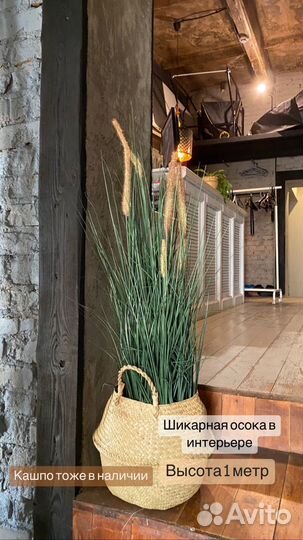 Искусственные деревья: Фикус, Пальма, Осока