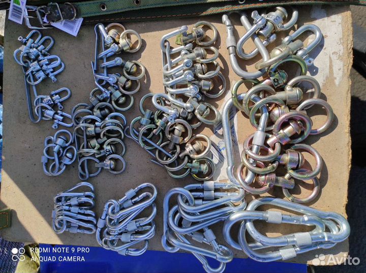 Амуниция для собак