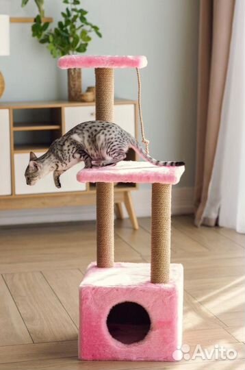 Домик для кошки новый