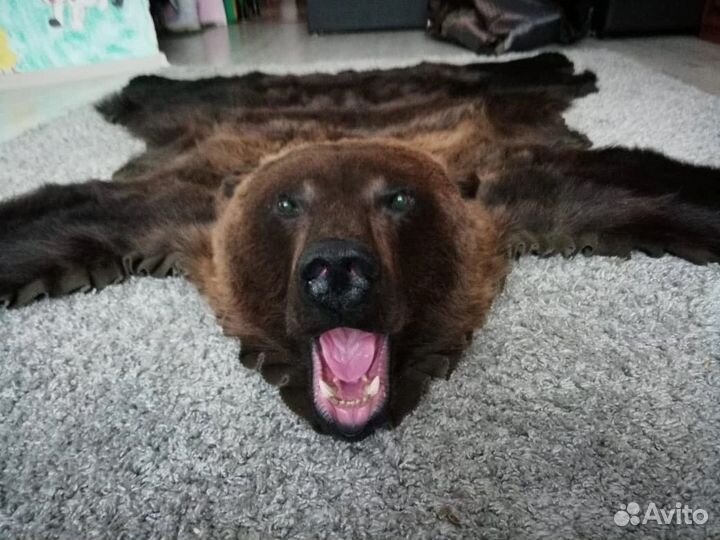 Шкура медведя (имитация)