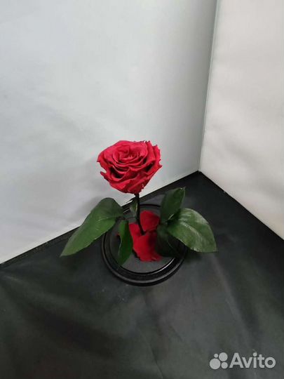 Роза в колбе оптом