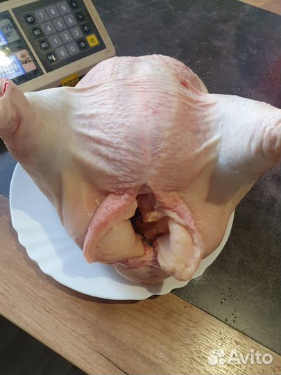 Мясо бройлера