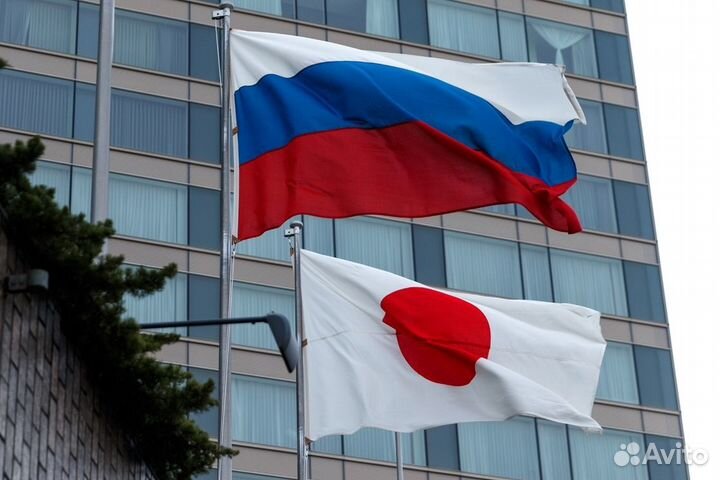 Доставка товаров из Японии в Россию, Беларусь