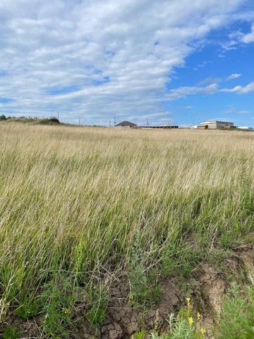 Участок 10 сот. (СНТ, ДНП)