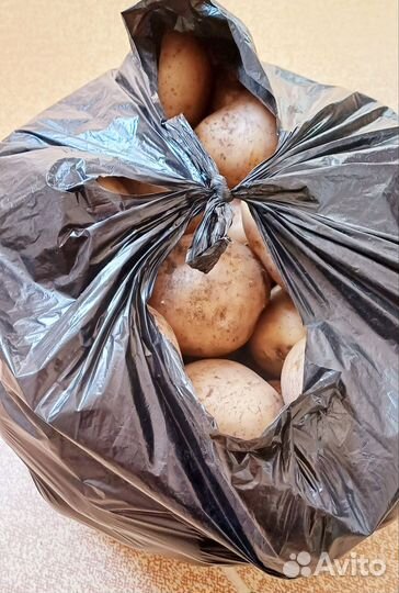 Картофель крупный