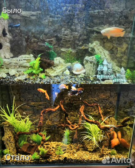 Обновление Аквариума