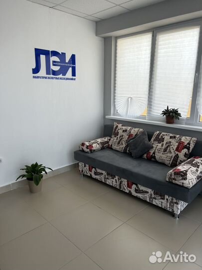 Экспертиза. Оценка.Исследования