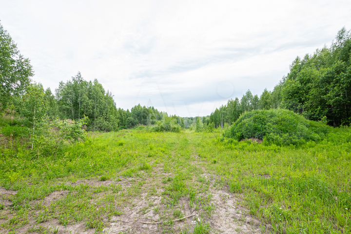 Участок 2,8 га (СНТ, ДНП)