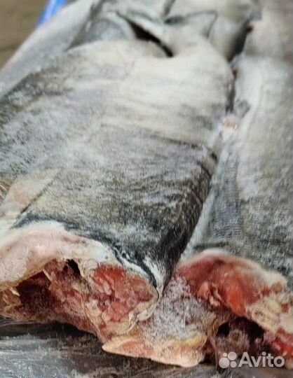 Кета пбг 1 сорт блочной заморозки мешок 22кг