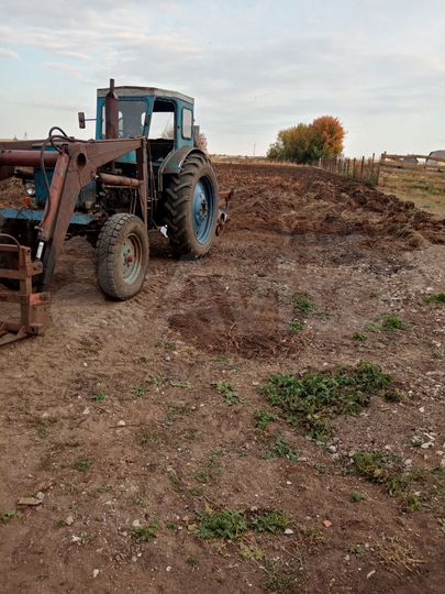 Участок 20 сот. (ИЖС)