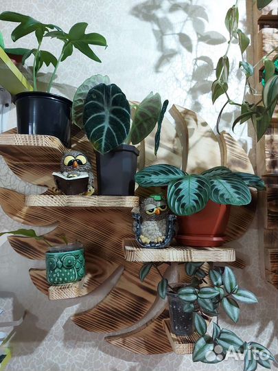 Полка для цветов