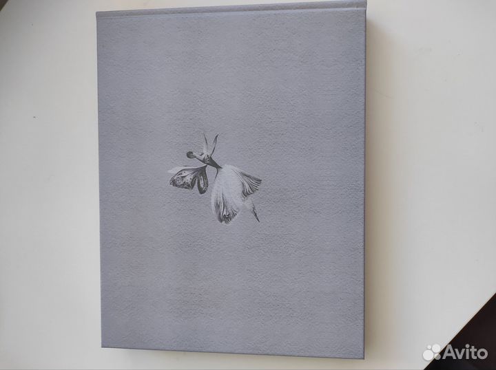 Ольга Биантовская. Поэзия графики и плаката