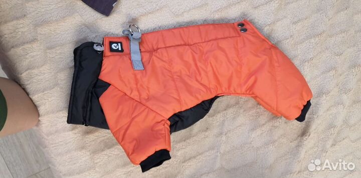 Одежда для собак