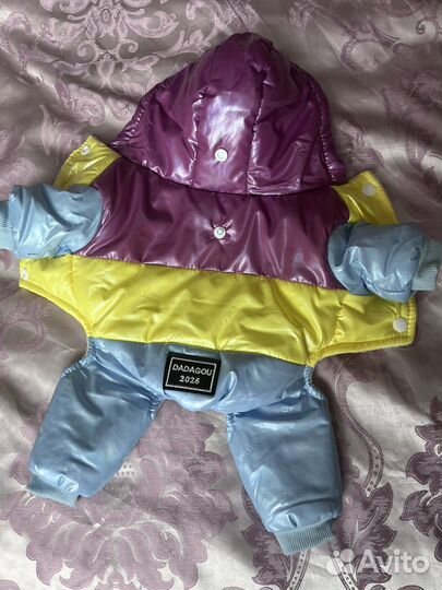 Одежда для маленьких собак