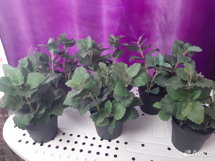 Искусственные цветы в горшках бу