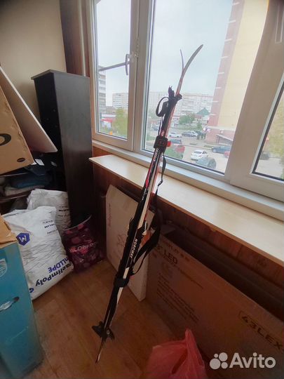 Беговые лыжи