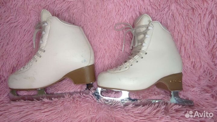 Фигурные коньки edea motivo 225