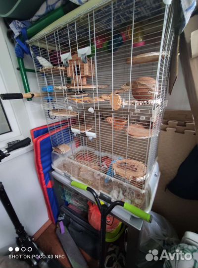 Большая клетка для животных и птиц Vision 2