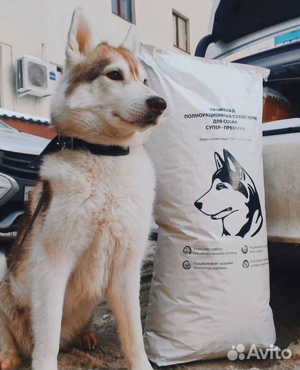 Сухой корм супер премиум класса для собак