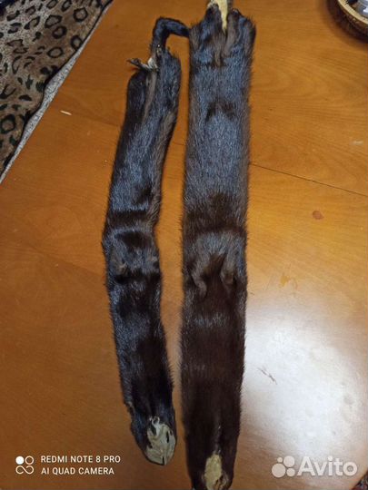 Шкурки норки