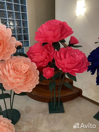Ростовые цветы
