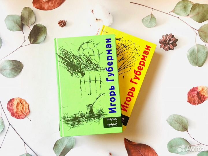 Комплект книг. Игорь Губерман