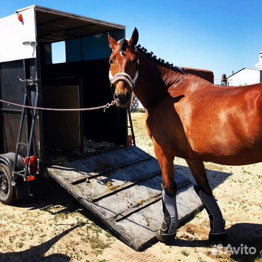 Перевозка животных, коневоз, скотовоз (крс, лошади