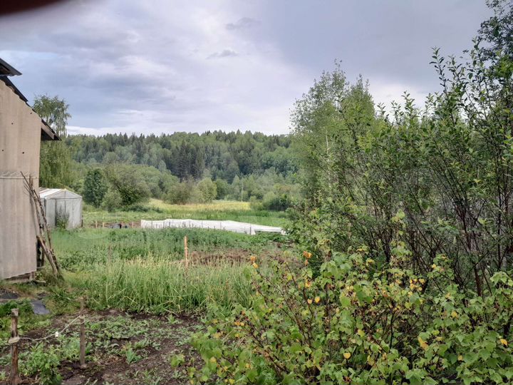 Дом 32 м² на участке 50 сот.