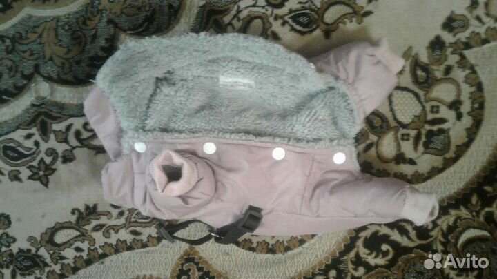 Одежда для собак