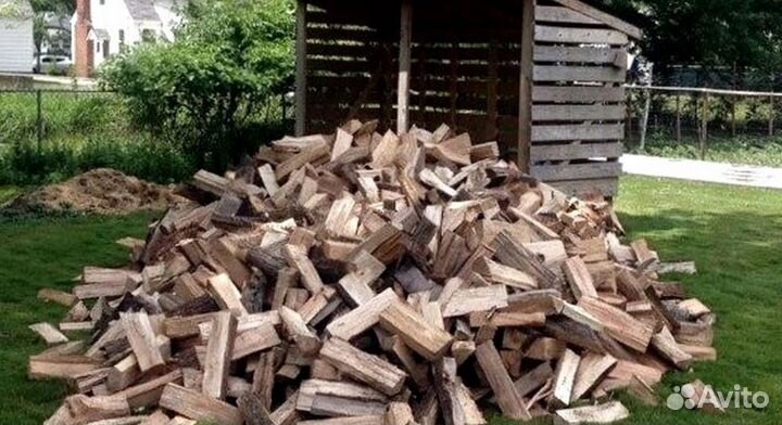 Дрова свежие