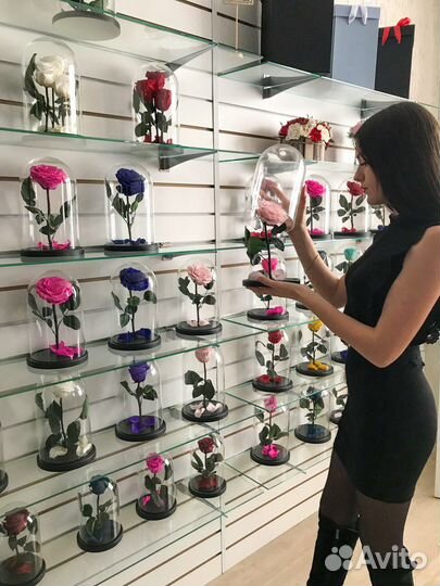 Живые розы в колбе