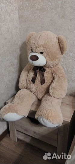 Плюшевый медведь