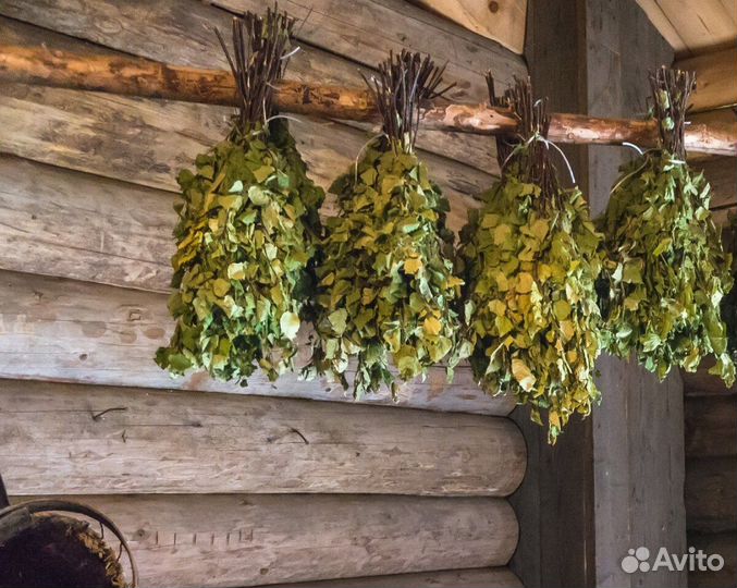 Веники для бани и сауны (березовые и дубовые )