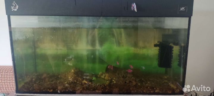 Аквариум
