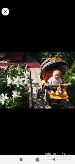 Продам коляску capella
