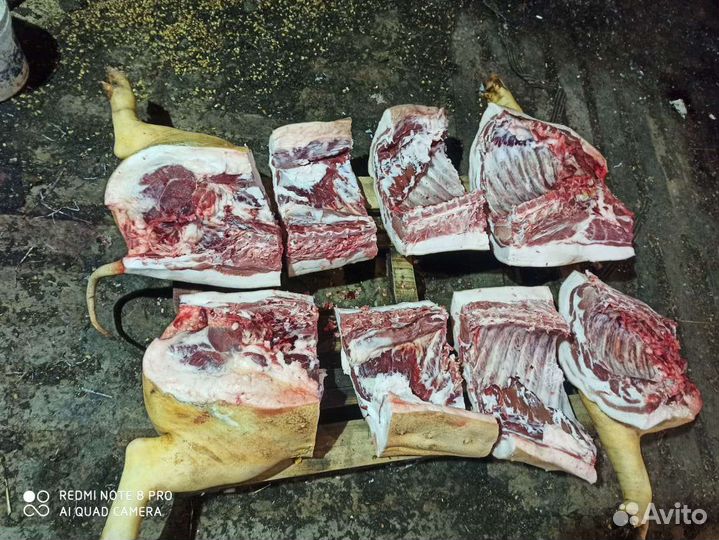 Мясо свинина домашняя