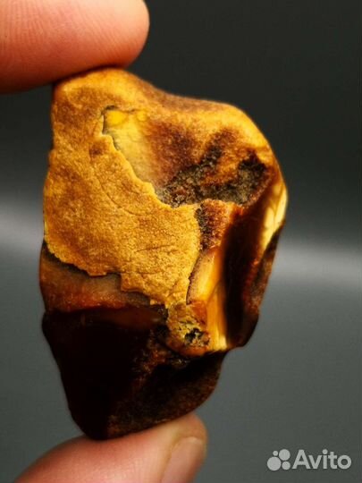 Янтарь темный, Калининград