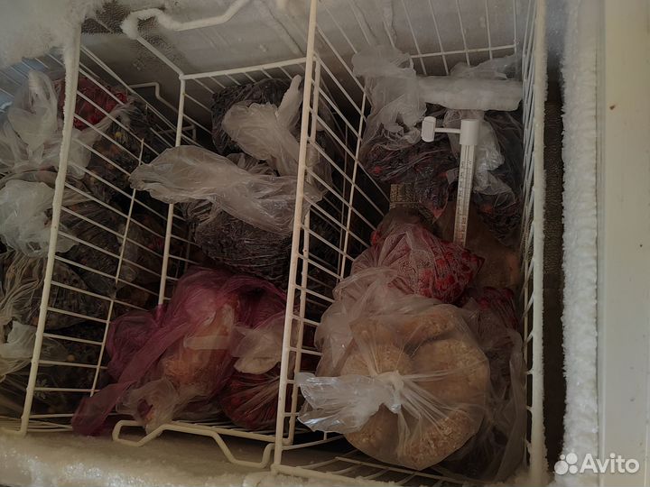 Морозильный ларь