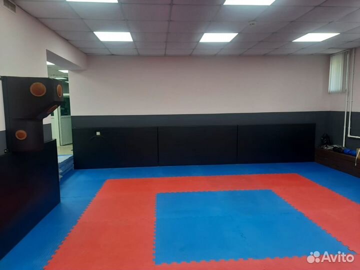 Будо маты Оптом. Ринги